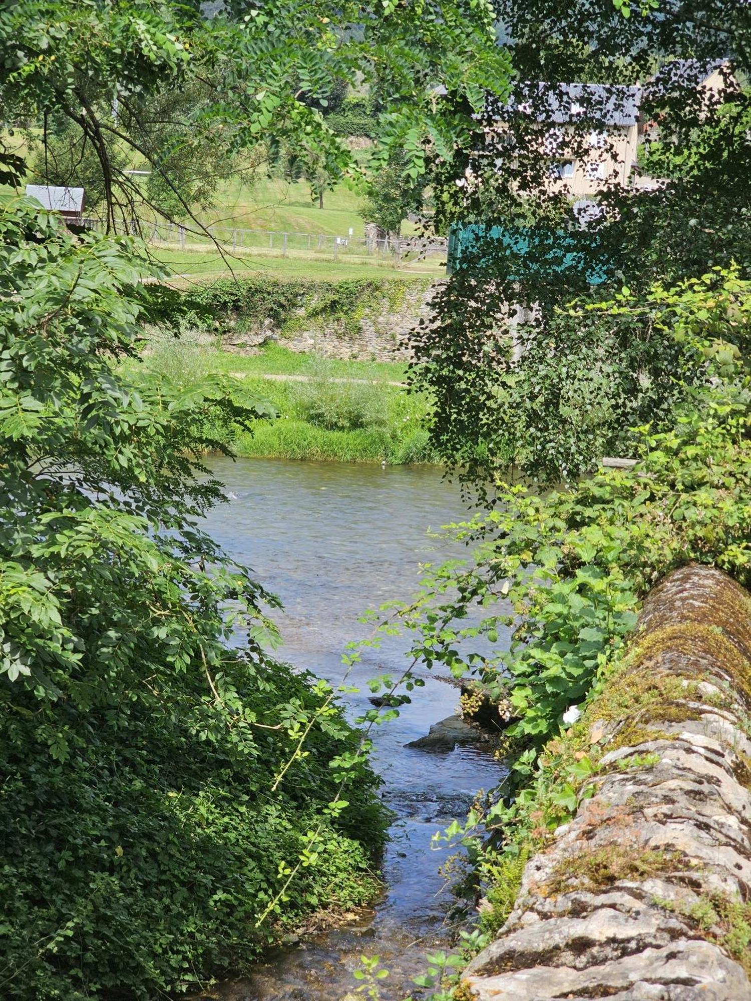 Riverrun Saint-Geniez-dʼOlt Eksteriør billede